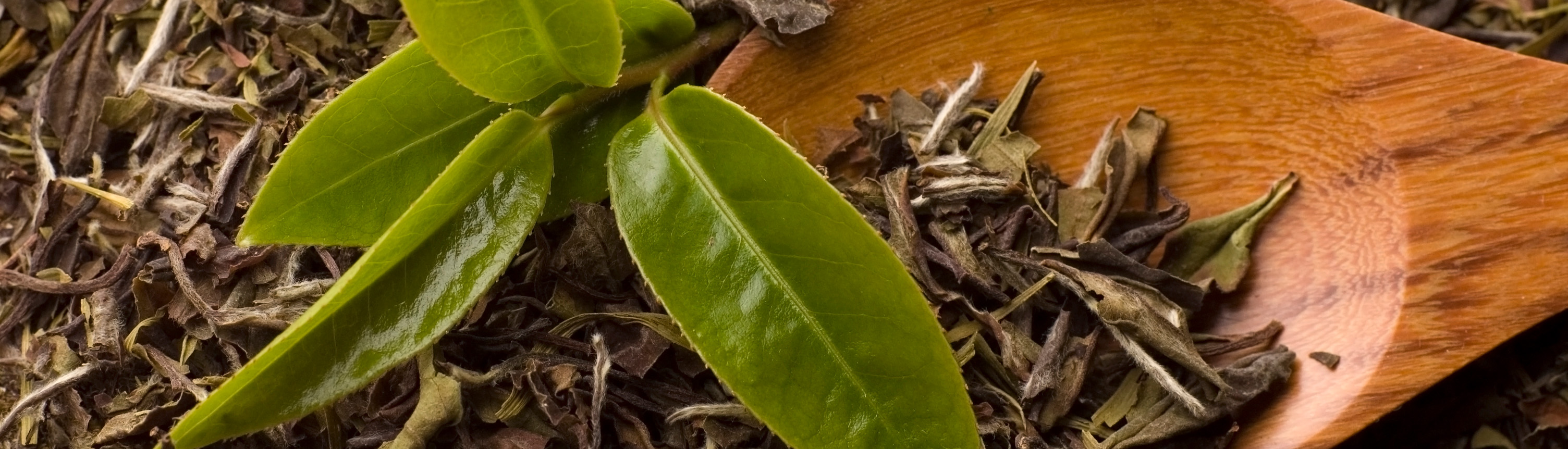 williamhill������ϣ��(����)Ψһ���Ĺٷ���վ-Official website